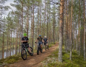 Arpaisten reitti, Soini