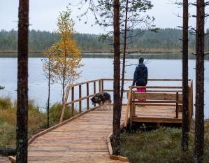 Soinin esteetön luontopolku