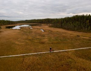 Hermanninlenkki, Soini