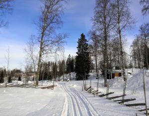 Töysän 30 km latu, Alavus