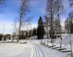 Töysän 30 km latu, Alavus