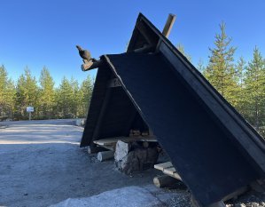 Teeren kieppi, Alavus