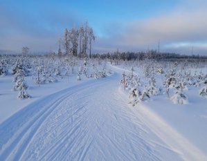 Valkealammen kuntohiihtoladut, Alajärvi