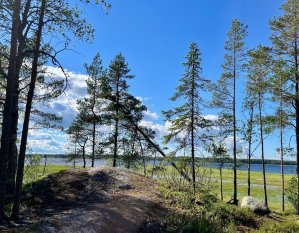 Mulkkujärven kierros, Alavus