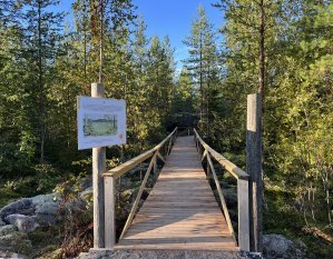 Teeren kieppi, Alavus